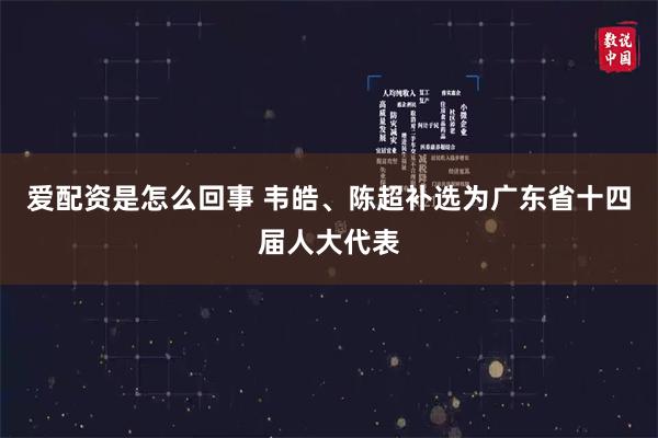 爱配资是怎么回事 韦皓、陈超补选为广东省十四届人大代表