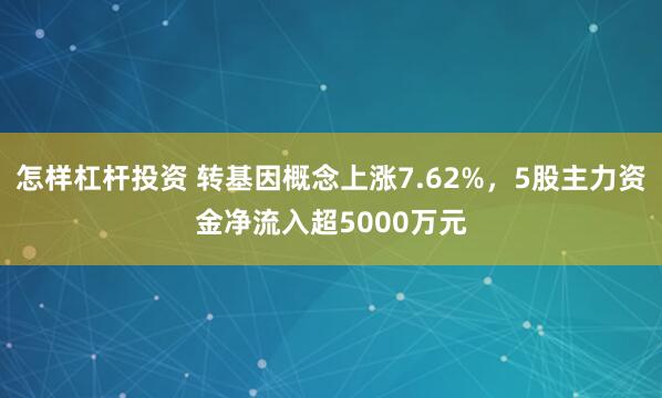 怎样杠杆投资 转基因概念上涨7.62%，5股主力资金净流入超5000万元