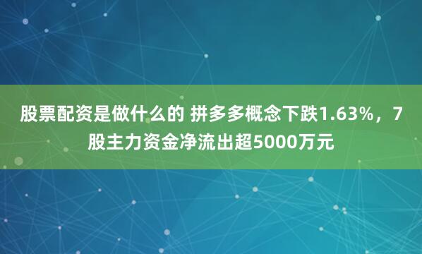 股票配资是做什么的 拼多多概念下跌1.63%，7股主力资金净流出超5000万元