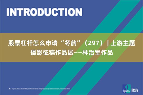 股票杠杆怎么申请 “冬韵”（297） | 上游主题摄影征稿作品展——林治军作品