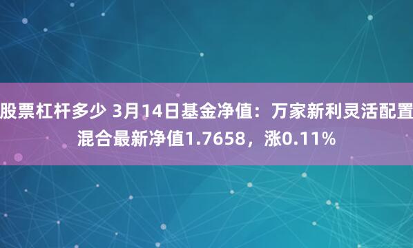 股票杠杆多少 3月14日基金净值：万家新利灵活配置混合最新净值1.7658，涨0.11%